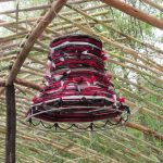 Lampshade hanging from wooden structure